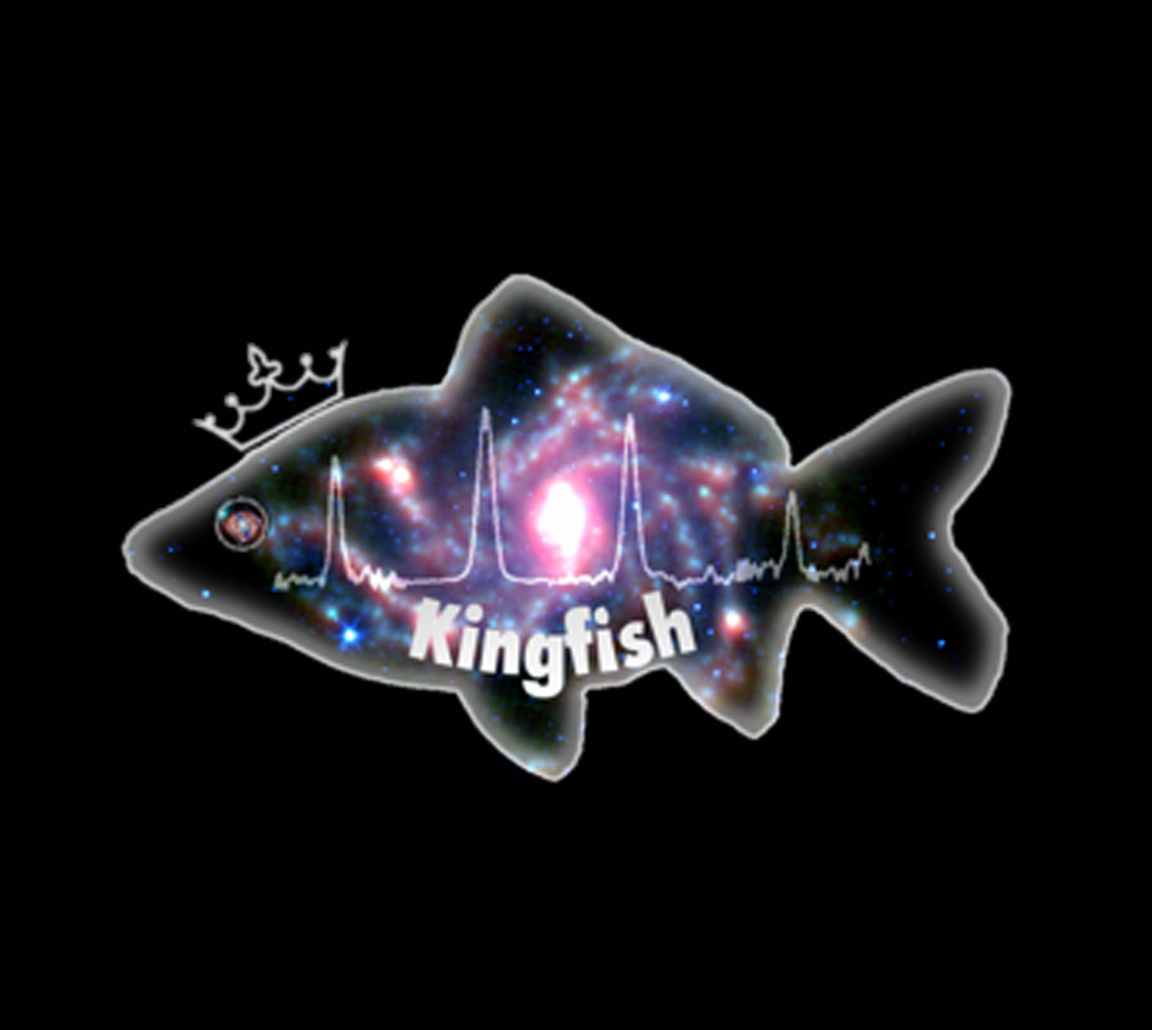 The KINGFISH project (Key Insights on Nearby Galaxies: a Far-Infrared Survey with Herschel)